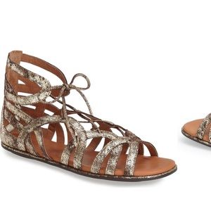 Gentle Souls gladiator